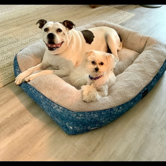 Hi, I'm Dana, or Dee Dee, as my Grands call me. - Picture 9 of 15